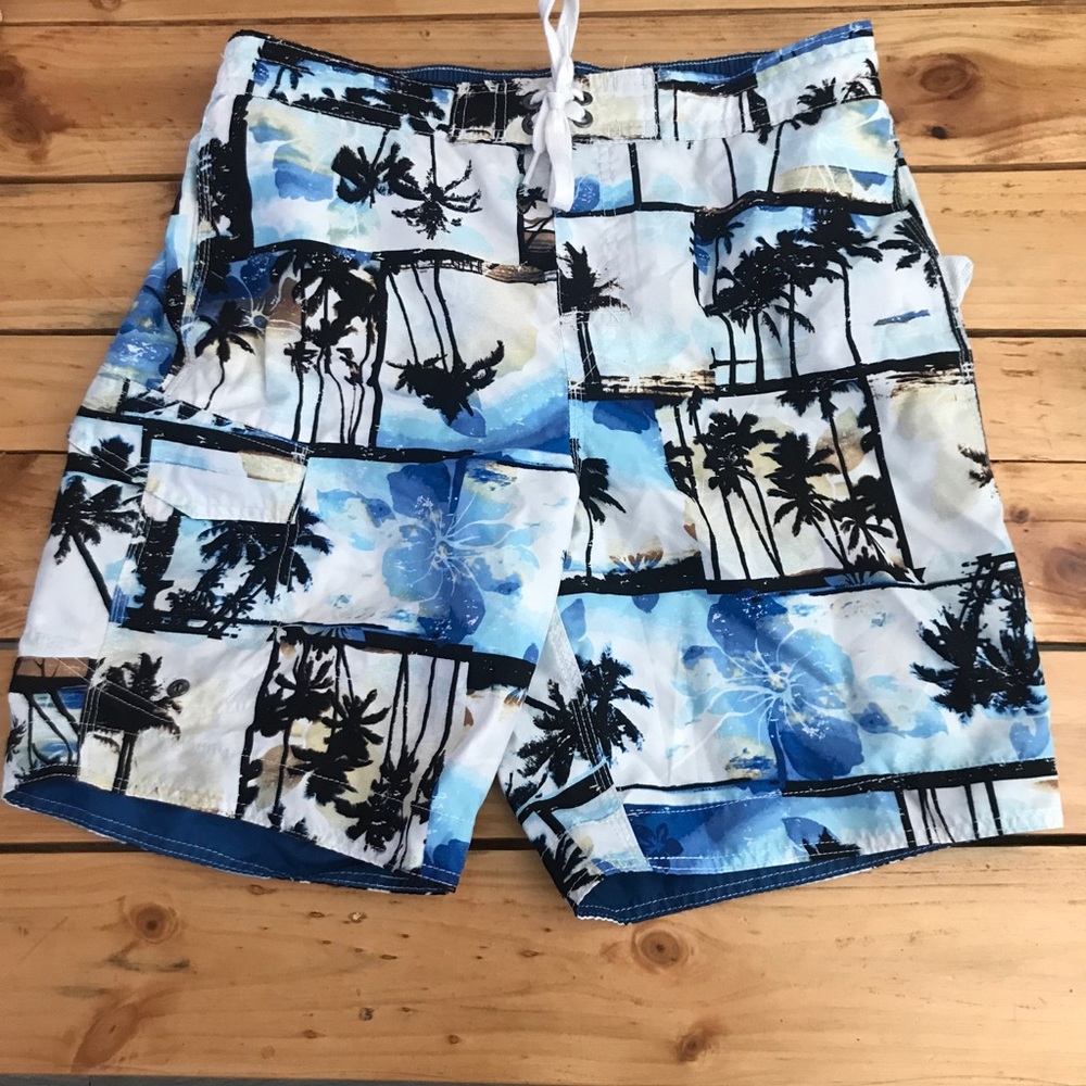 Lanesboro Swim Trunk
